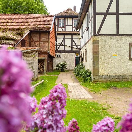Forsthaus Halbemark Bad Sooden-Allendorf Zewnętrze zdjęcie