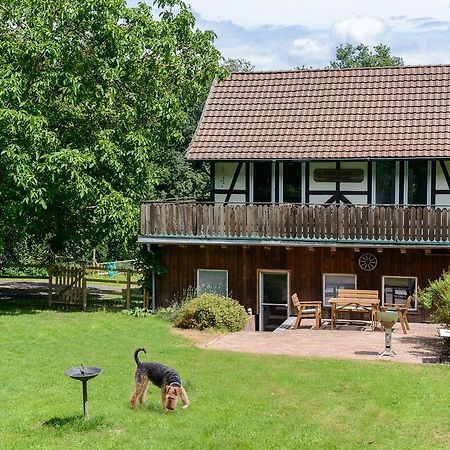 Forsthaus Halbemark Bad Sooden-Allendorf Zewnętrze zdjęcie