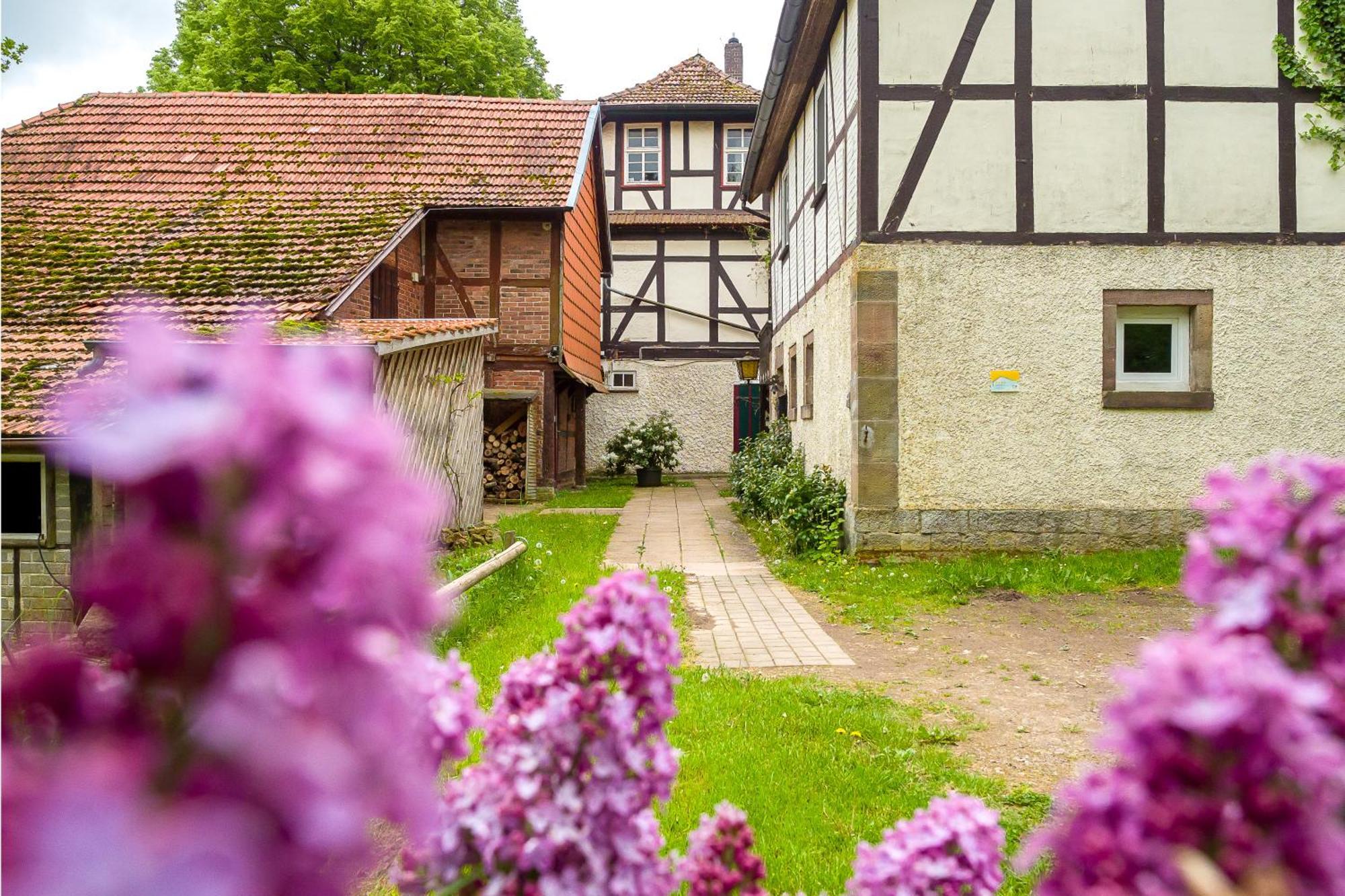 Forsthaus Halbemark Bad Sooden-Allendorf Zewnętrze zdjęcie
